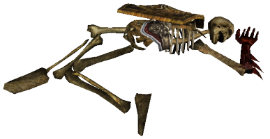 Sura Skelet 4.png